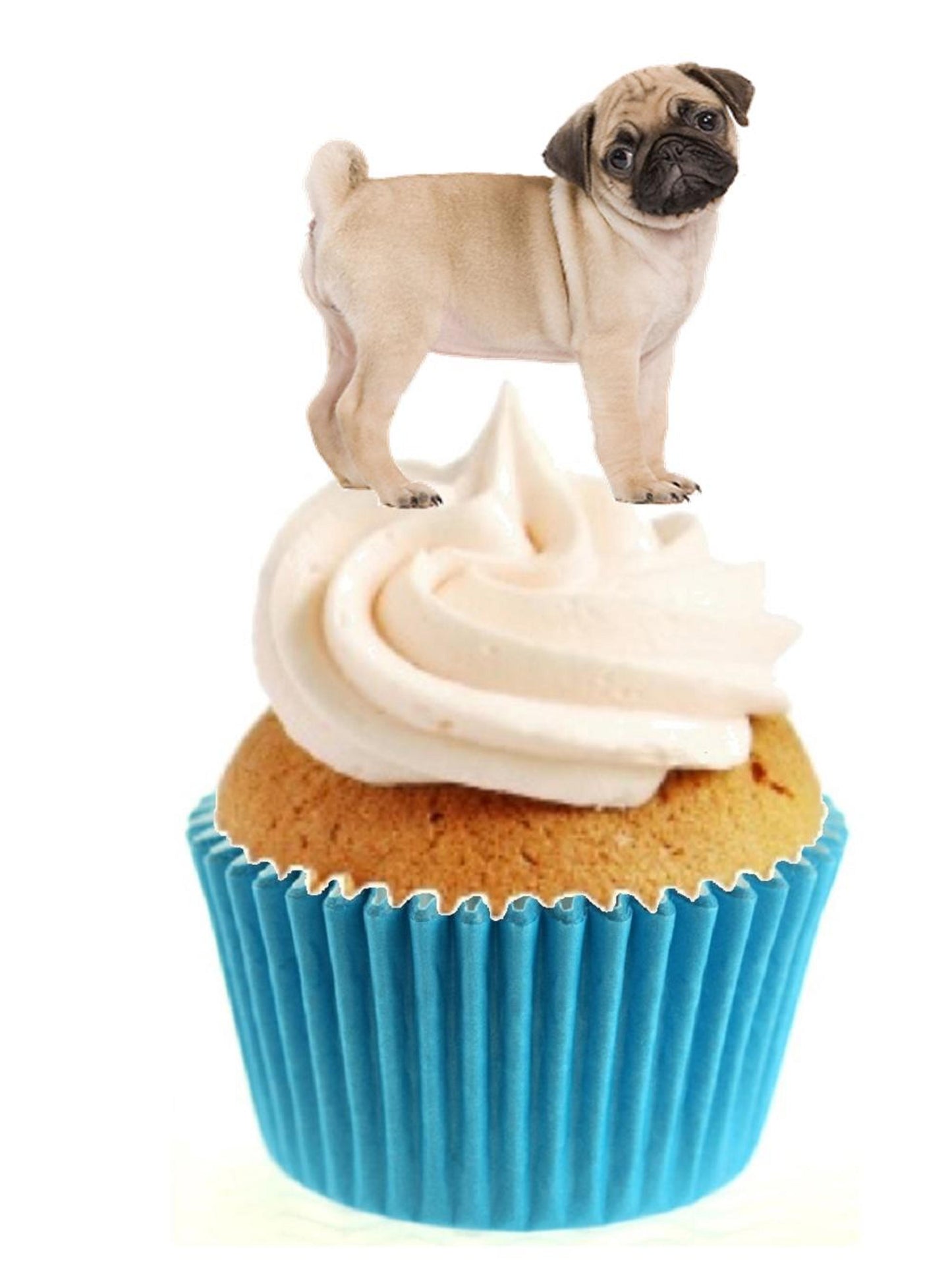 Cute Pug Stand Up Cake Toppers (12 pack) Pack contains 12 images printed onto premium wafer card