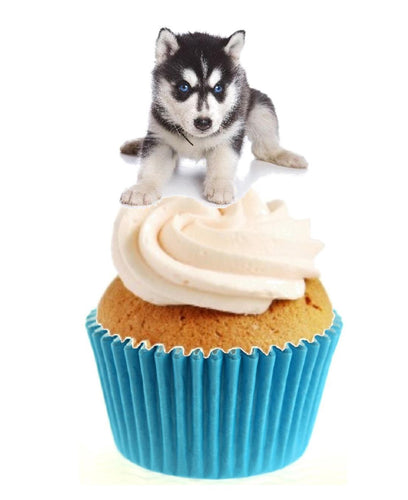 Husky Stand Up Cake Toppers (12 pack)