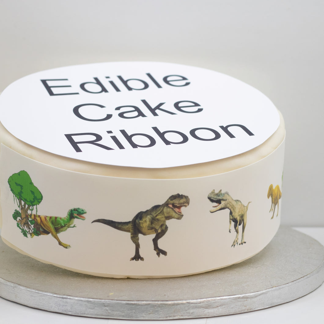 Dinosaurs Edible Icing Cake Ribbon / Side Strips