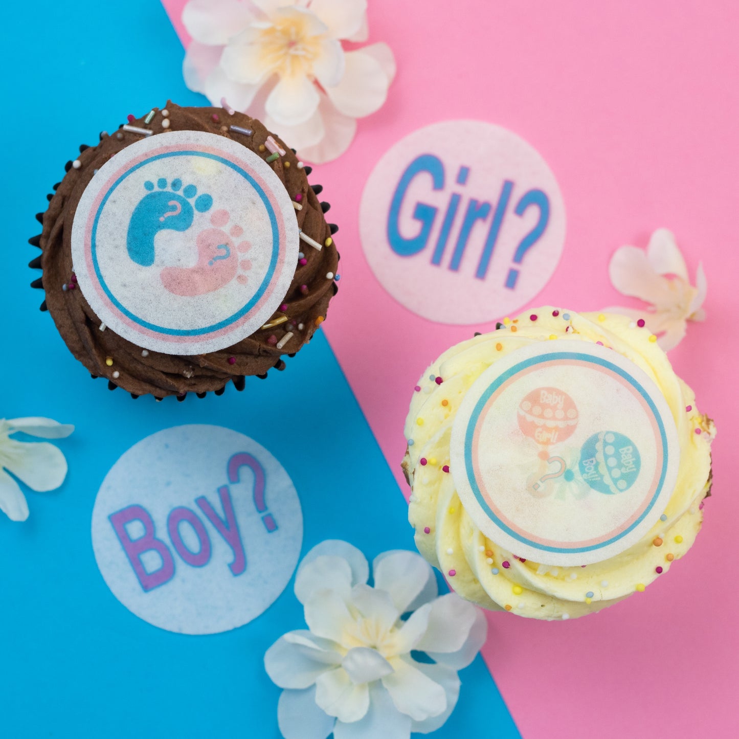 Gender Reveal 2" discs