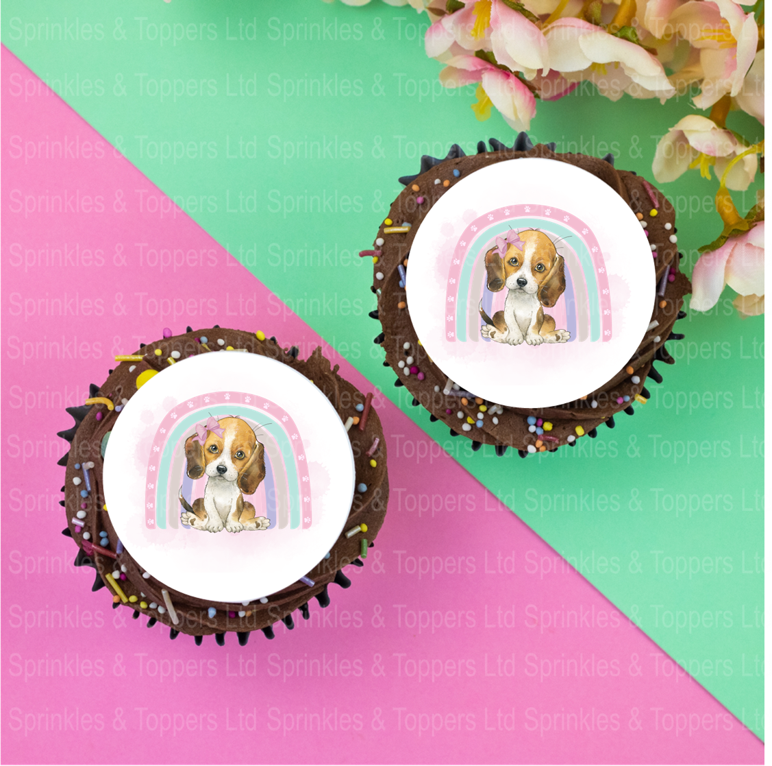 Cute Beagle Puppy & Rainbow  2" / 5cm discs