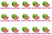 Load image into Gallery viewer, You&#39;re One In a Melon Edible Icing Cake Ribbon / Side Strips